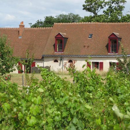 Cottage du vigneron Vernou-sur-Brenne Extérieur photo